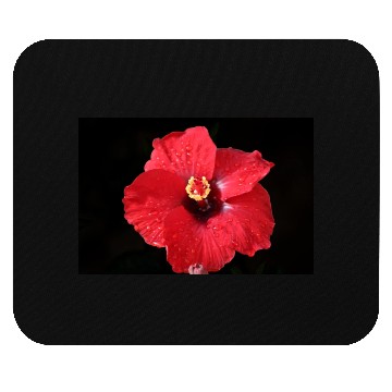 Discover Red Hibiscus on Black Mouse Pads