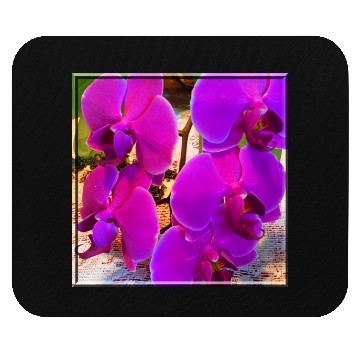 Discover Orchid 4 Mouse Pads