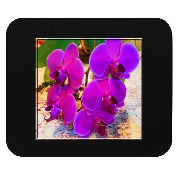 Discover Orchid 3 Mouse Pads
