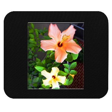 Discover Hibiscus 4 Mouse Pads