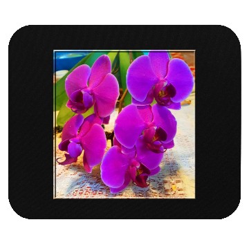 Discover Orchid 2 Mouse Pads