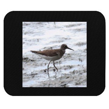 Discover Sandpiper walking along the shore Mouse Pads