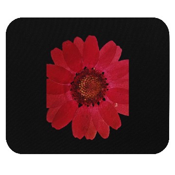 Discover Red Sunflower Mouse Pads