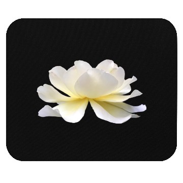 Discover Lotus rose white flower Mouse Pads