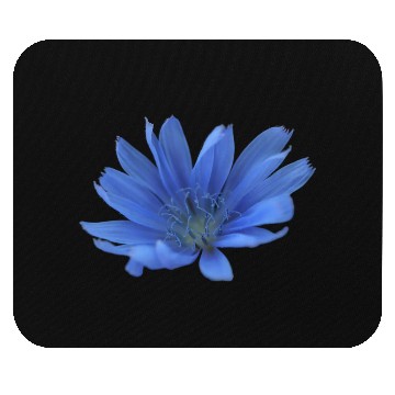 Discover blue flower blueweed purple blossom Mouse Pads