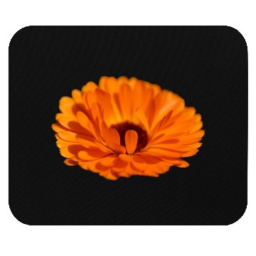 Discover orange flower marigold Mouse Pads