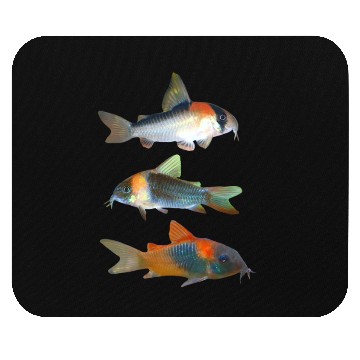 Discover Adolfoi Corydoras Catfish Aquarium Fish Lovers Mouse Pads