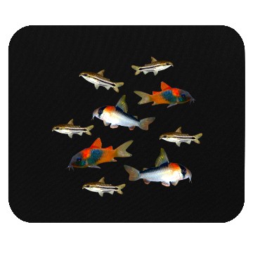 Discover Pygmy Corydoras Adolfoi Corydoras Catfish Aquarium Mouse Pads