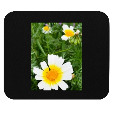 Discover Summer Bloom Mouse Pads
