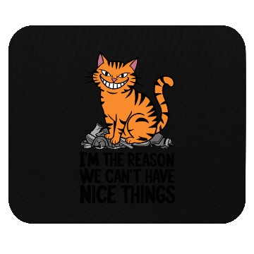 Discover Orange Tabby Cat Reason We Can't Have Nice Things Mouse Pads