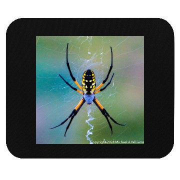 Discover Garden Spider Mouse Pads