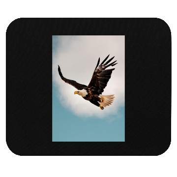 Discover Strong Eagle Mouse Pads