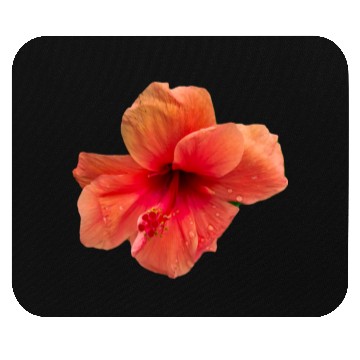 Discover Orange colour hibiscus flower Mouse Pads