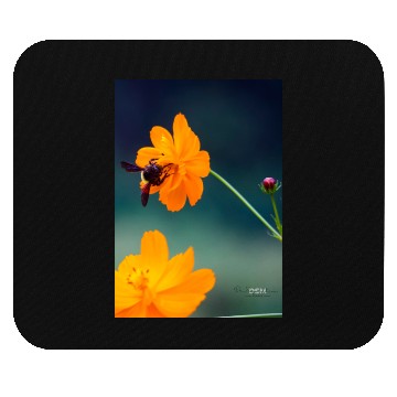 Discover Nature bee Mouse Pads