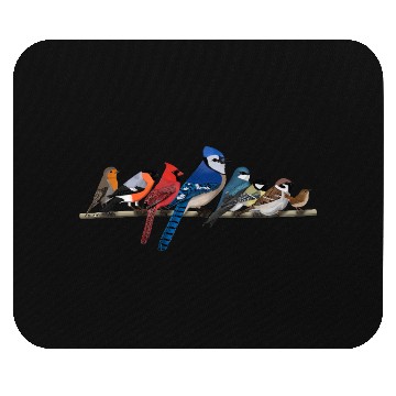 Discover Garden Birds Blue Jay Cardinal Bullfinch Birding Mouse Pads