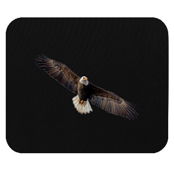 Discover the eagle Mouse Pads