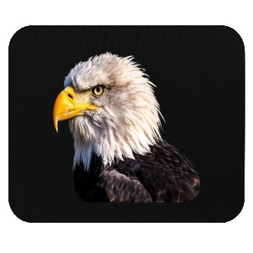 Discover 1 Eagle Mouse Pads