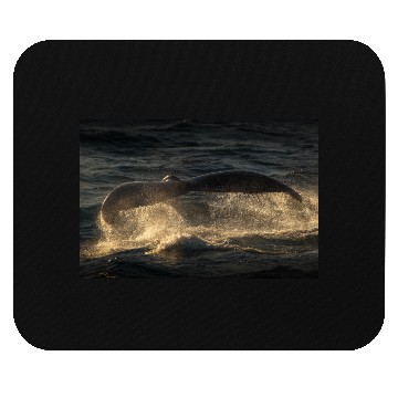 Discover Humpback Whale Tail Mouse Pads