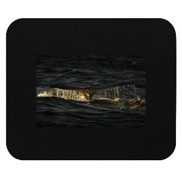 Discover Humpback Whale Tail Mouse Pads