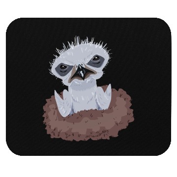 Discover Little Bald Eagle Mouse Pads