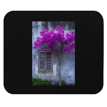 Discover Vibrant Blossom Against Rustic Wall Mouse Pads