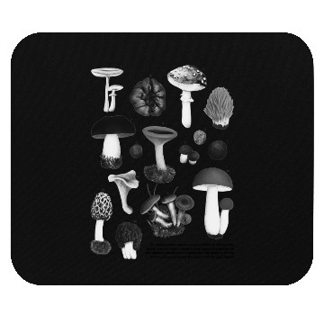 Discover Forest Gems – Scientific Wild Mushroom Chart Mouse Pads