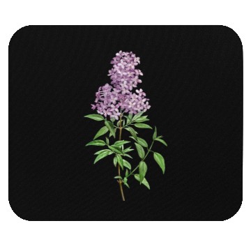 Discover Lavender Bloom Botanical Illustration Mouse Pads