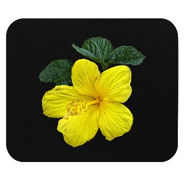 Discover One Yellow Hibiscus Mouse Pads