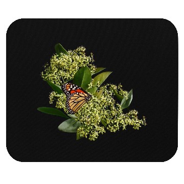 Discover Monarch Butterfly on Euonymus Mouse Pads