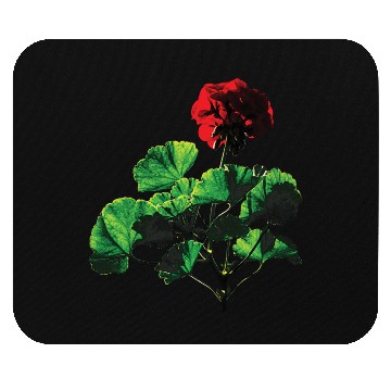 Discover Backlit Red Geranium Mouse Pads