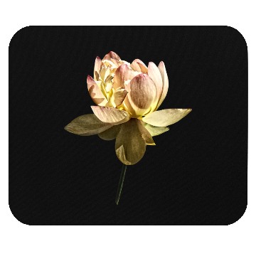 Discover Delicate Pink Lotus Mouse Pads