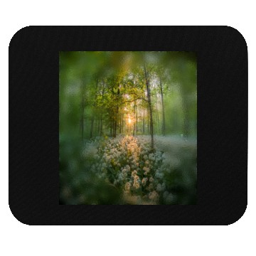Discover Sunlit Forest with Wildflowers Mouse Pads