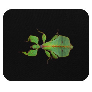 Discover Real Leaf Insect Mouse Pads
