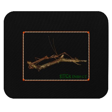 Discover Real Stick Insect  Mouse Pads
