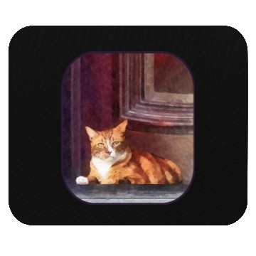 Discover Orange Tabby in Doorway Mouse Pads