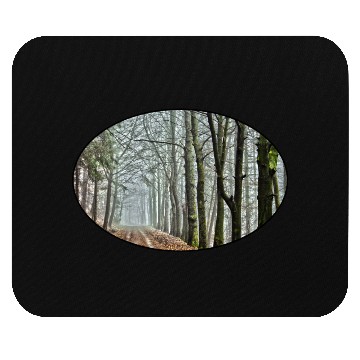 Discover Forest - Nature - Park - Trees - Rural - Dirt Road Mouse Pads