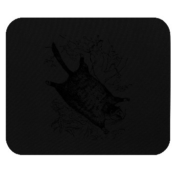 Discover Flying squirrel Mouse Pads