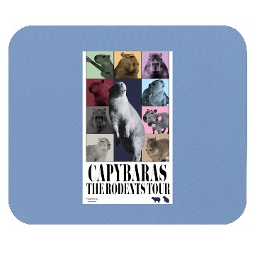 Discover Eras Tour Mouse Pads