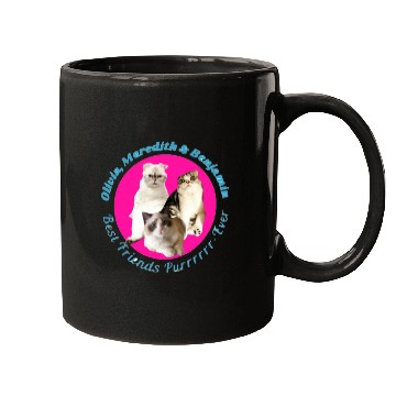 Discover Taylor's cats Mugs
