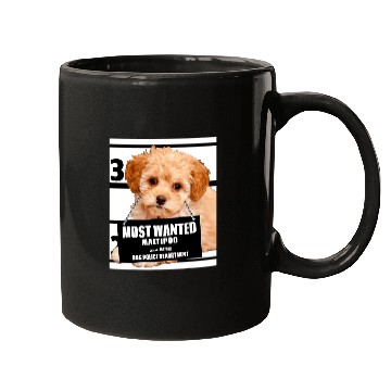 Discover Poodles mosts Wanted Maltipoo Maltese Miniature Poodle dog Poodle dog Mugs
