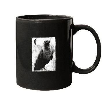 Discover Alternative Clothes Aesthetic Goth Women 2Crow Graphic Mugs