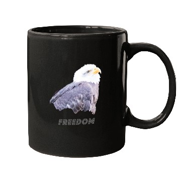 Discover Bald Eagle 21 Mugs