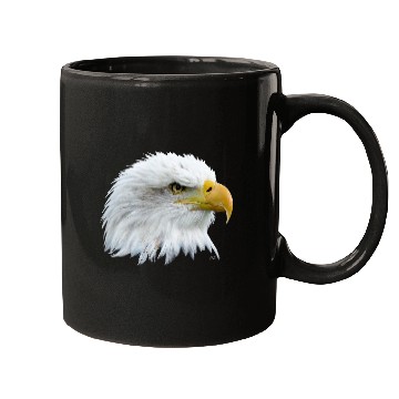 Discover Falconry White Head Eagle Mugs