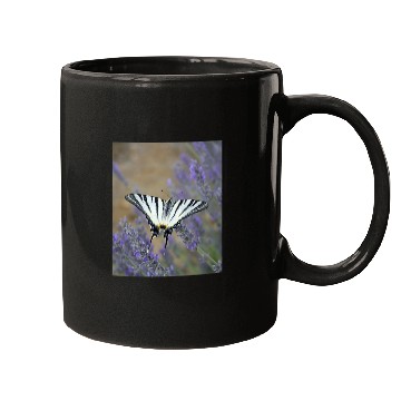 Discover Stunning Swallowtail On Lavender Spike Photograph Mugs