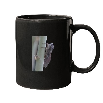 Discover Cicada Vector Cut Out Mugs