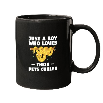 Discover Python Pet Just A Boy Who Loves Their Pets Curled Ball Python Pythons Mugs