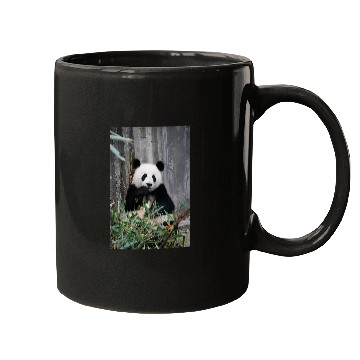 Discover Panda Pet Eating Bamboo Leaves Mugs