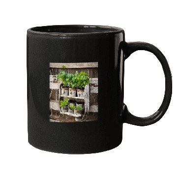 Discover Herb Garden Rustic Markers Mugs