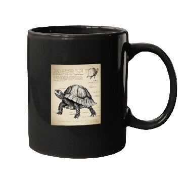 Discover Turtle Pet Box Turtle Structural Blueprint Mugs