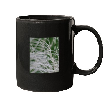 Discover Abstract Macro Photograph Of Mediterranean Palm Mugs
